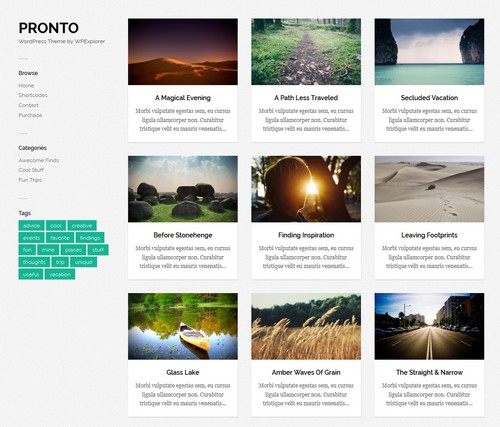 Pronto WordPress blog themes