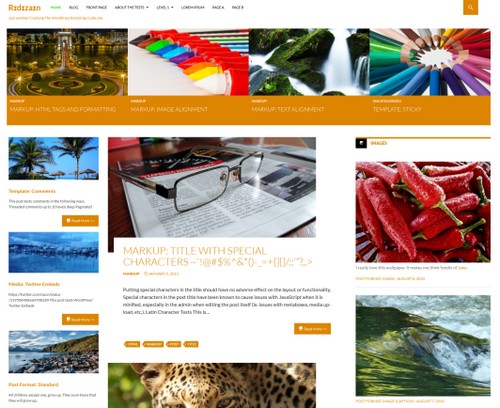 Ridizain Free WP Template