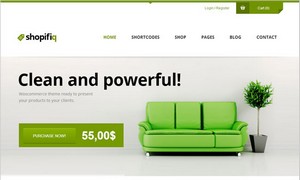 Great WordPress WooCommerce Themes for Ecommerce Site